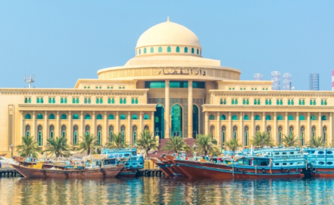 UAE releases VAT law