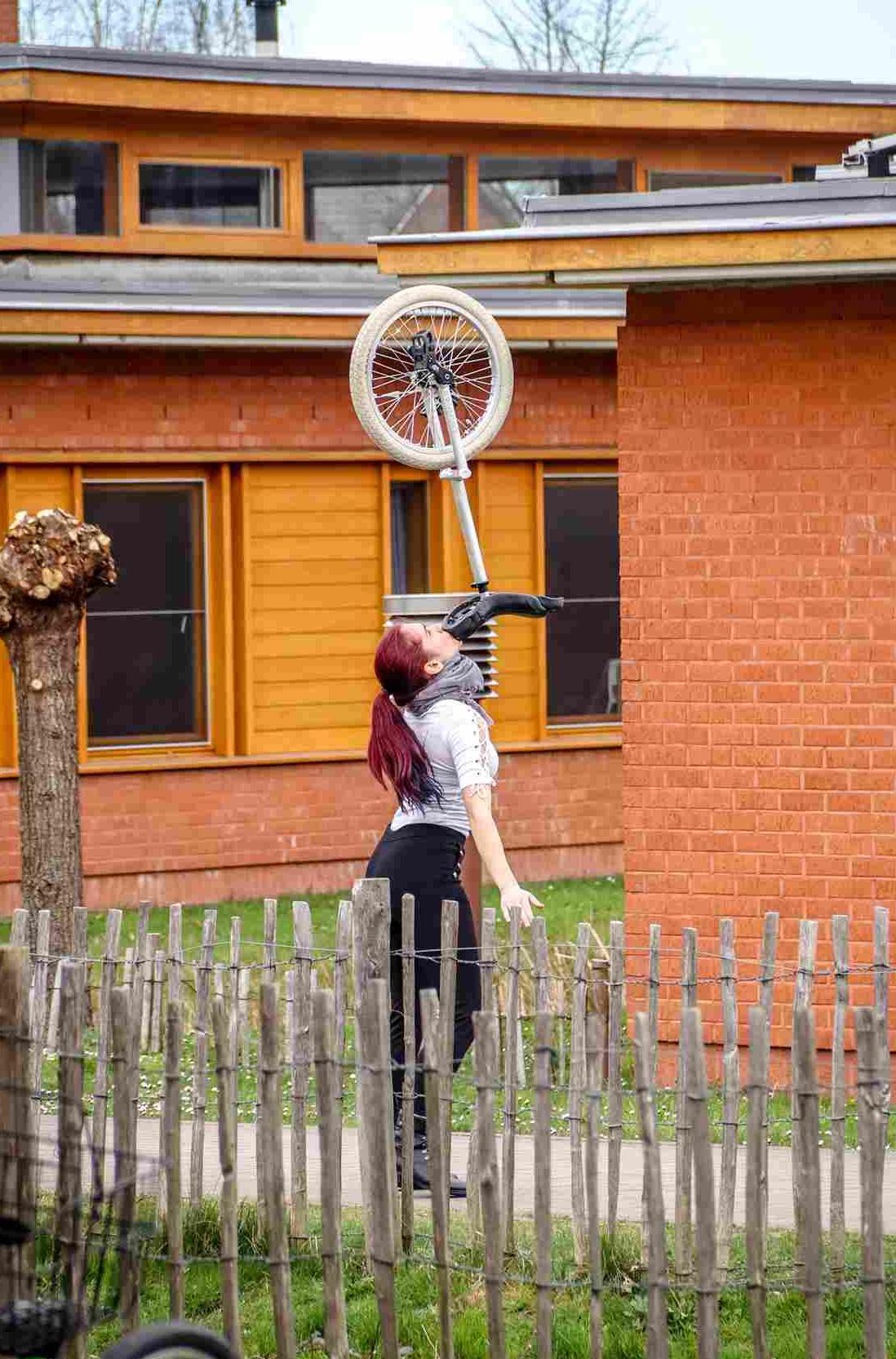 Eenwieler balans Eenwieler wordt gebalanceerd op kin