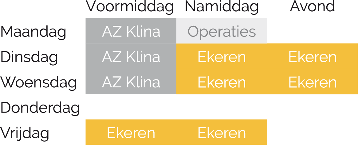 Schema Dr. Marjan Verbruggen Schema Dr. Marjan Verbruggen