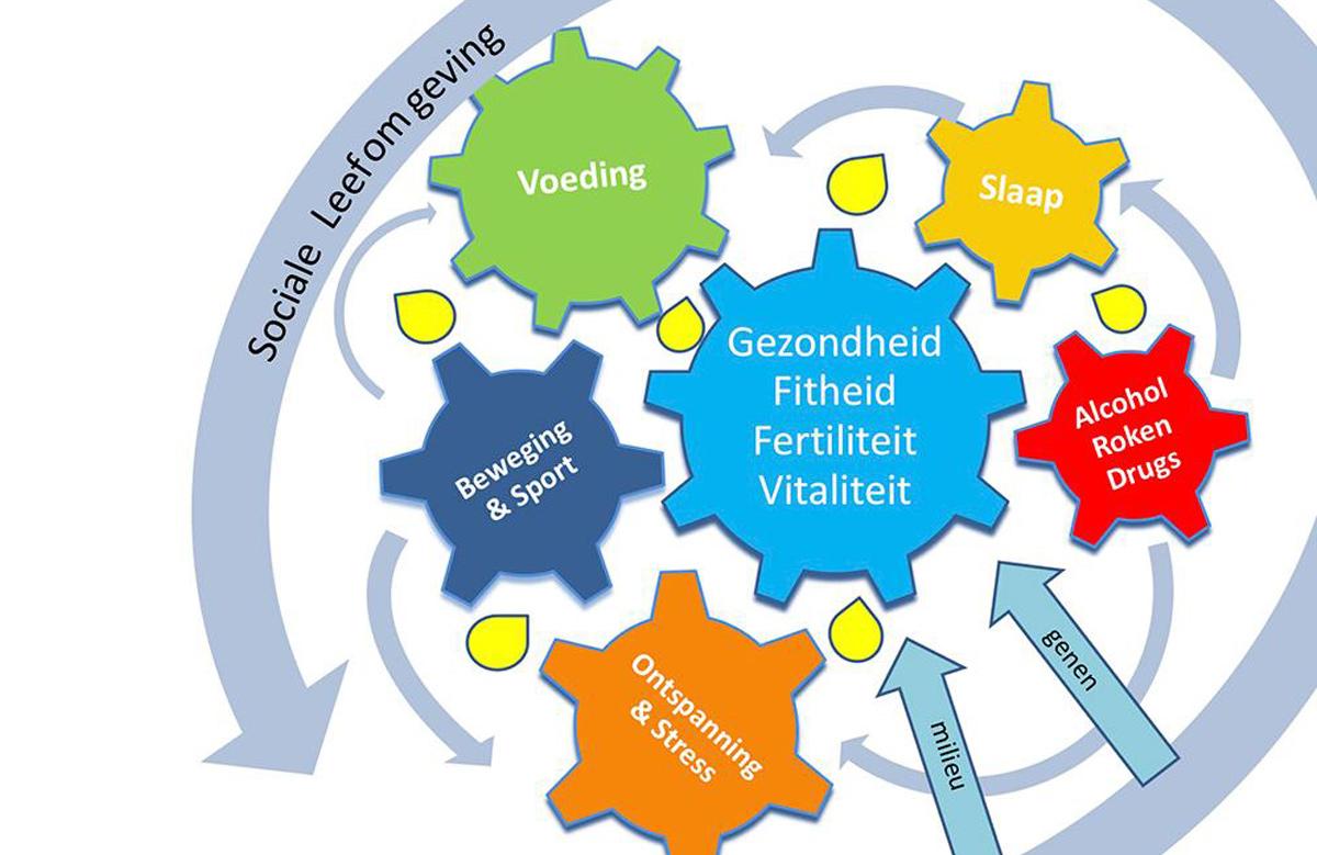 Model Gedragsverandering Go4Vitality Model Gedragsverandering Go4Vitality