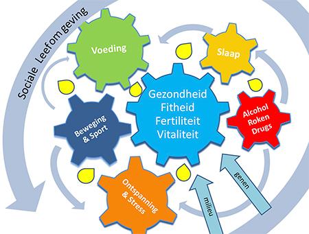 Leefstijl Tandradar Totaal Go4Vitality Leefstijl Tandradar Totaal Go4Vitality