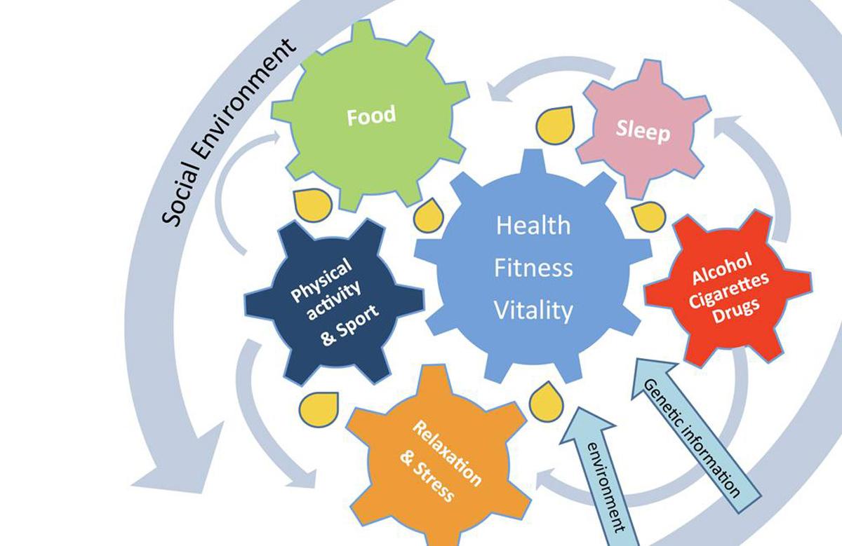 Model Behavioral Change Go4Vitality