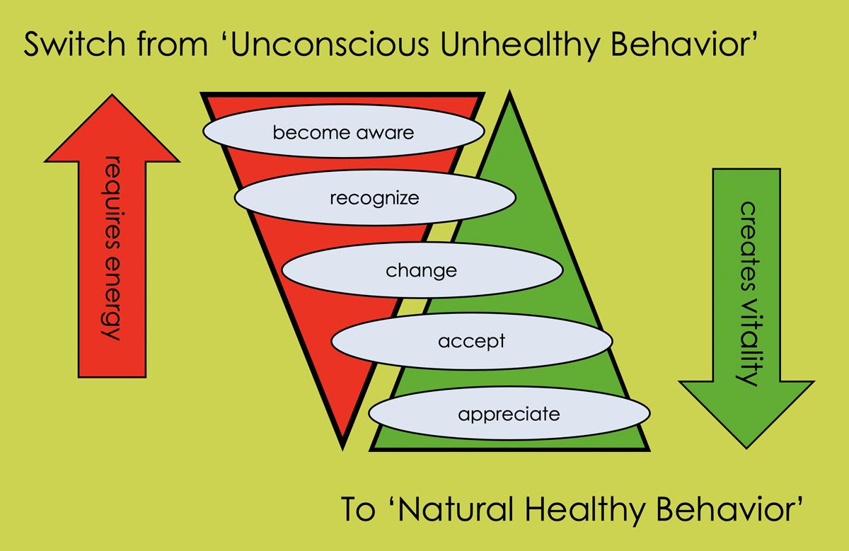 Model Behavioral Change Go4Vitality