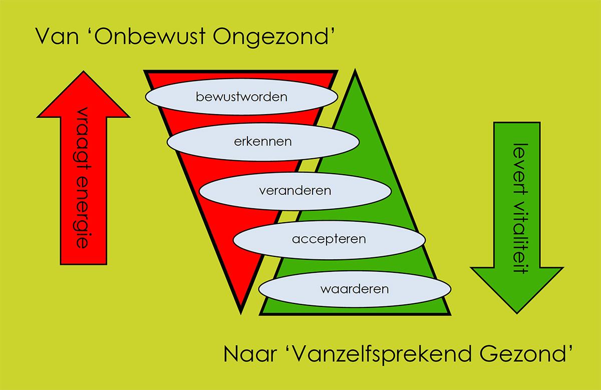 Model Gedragsverandering Go4Vitality Model Gedragsverandering Go4Vitality