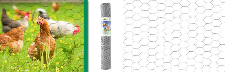 kippendraad promotie