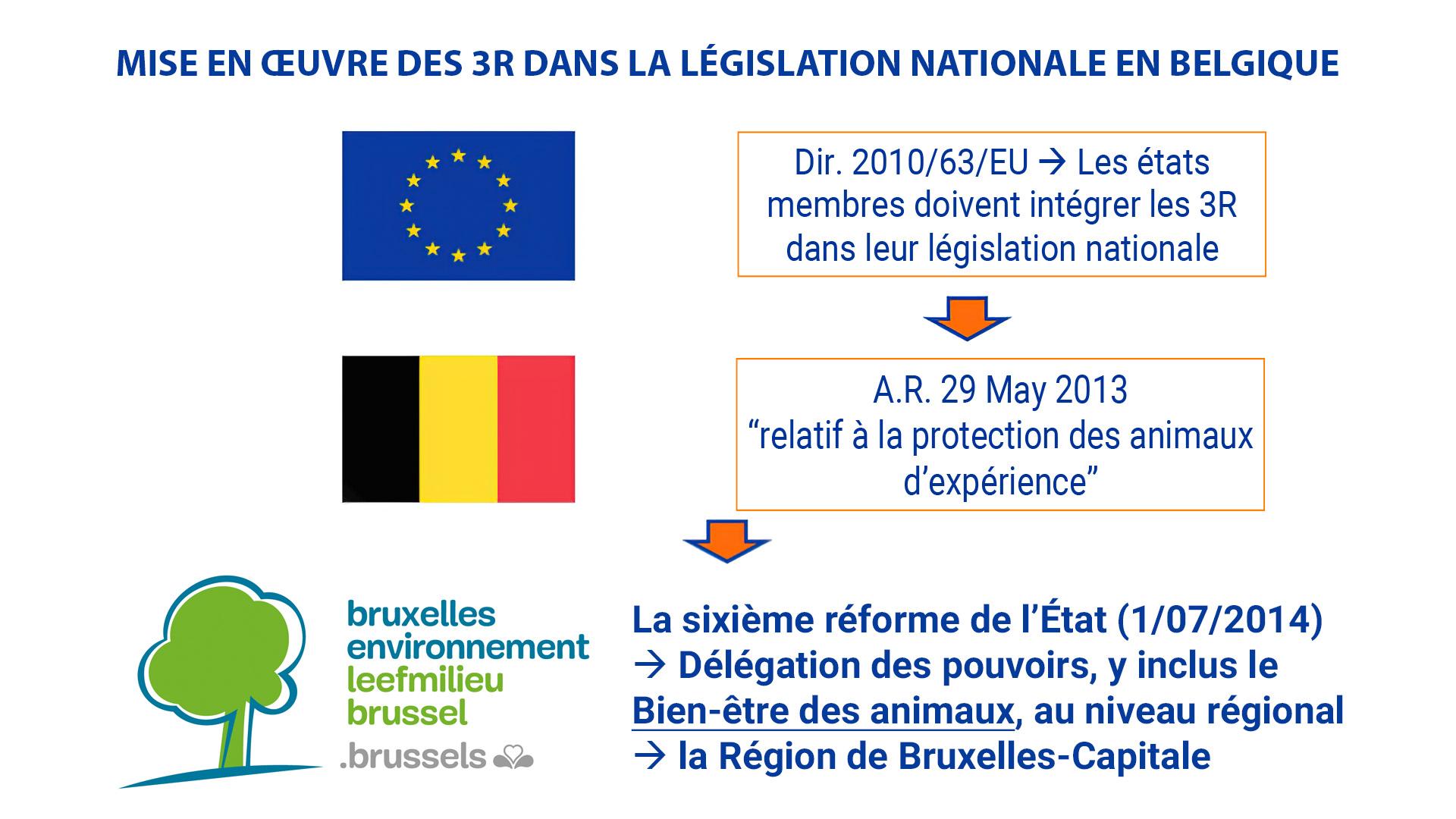 MISE EN ŒUVRE DES 3R DANS LA LÉGISLATION NATIONALE EN BELGIQUE MISE EN ŒUVRE DES 3R DANS LA LÉGISLATION NATIONALE EN BELGIQUE