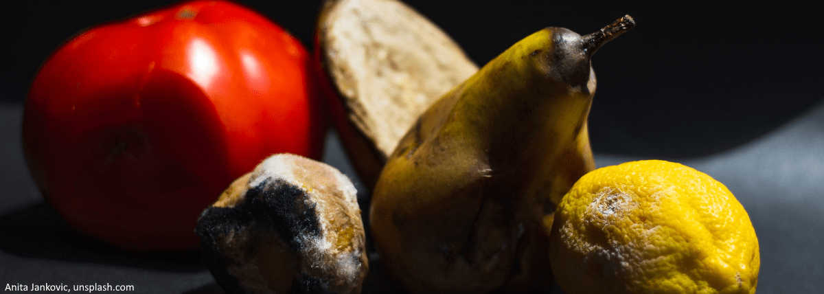 De incubatiekamer De incubatiekamer