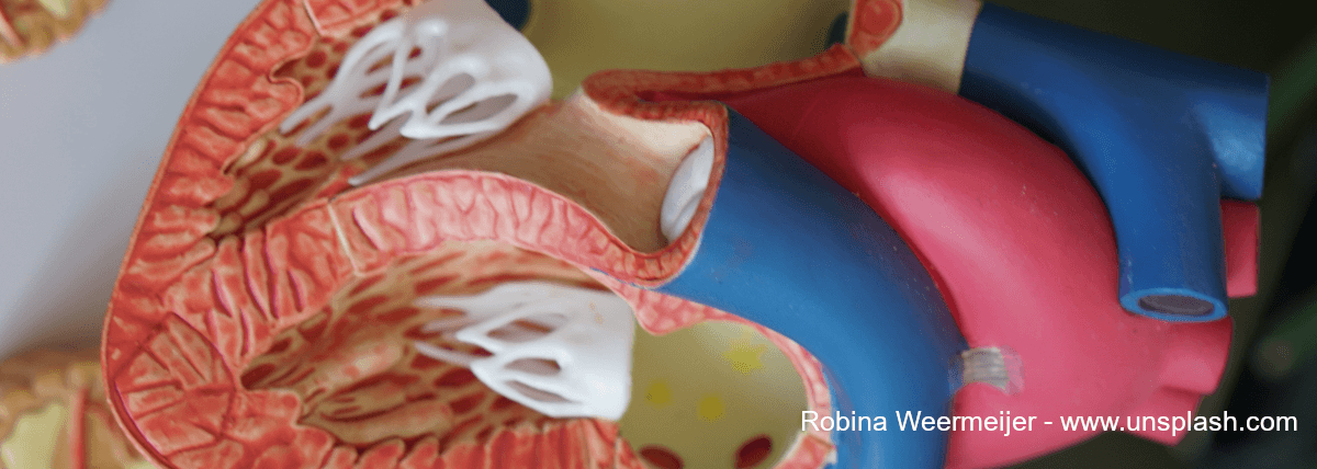 Themakeuze STEM Diversiteit Onderwijs STEM themakeuze STEM