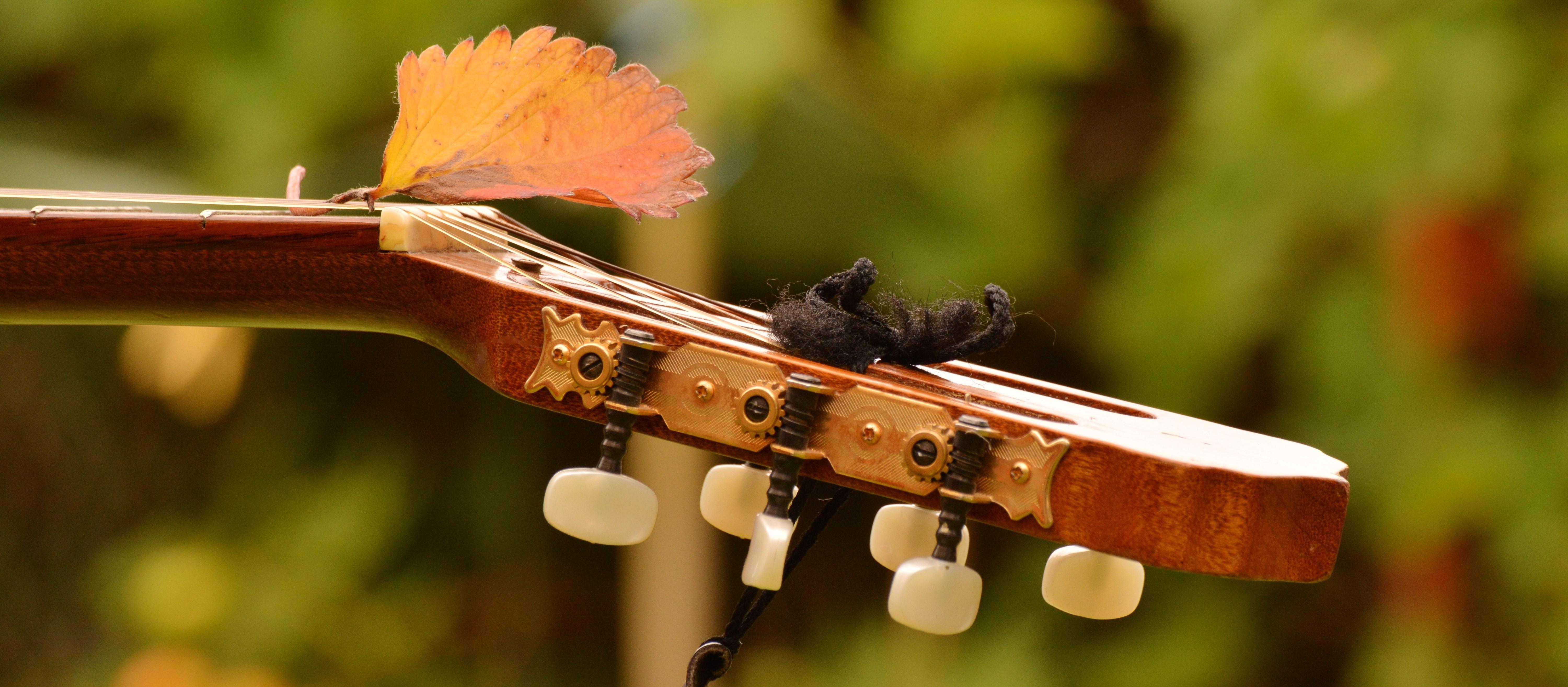 Stemmige muziek Stemmige muziek iStem
