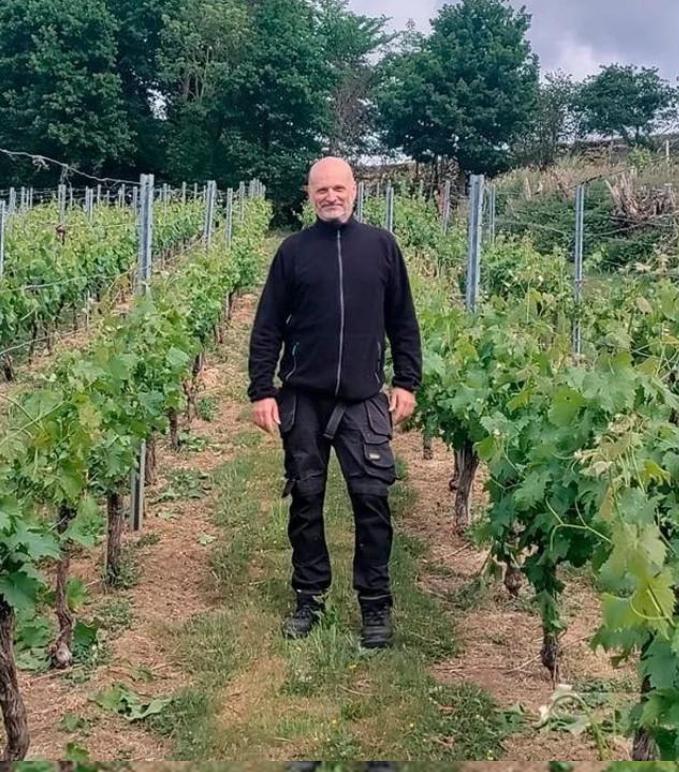 wijngaard Ten Gaerde op de heuvels van Houwaart